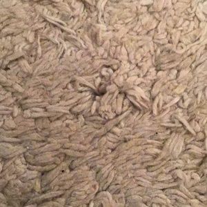 Meet your Posher, Steve